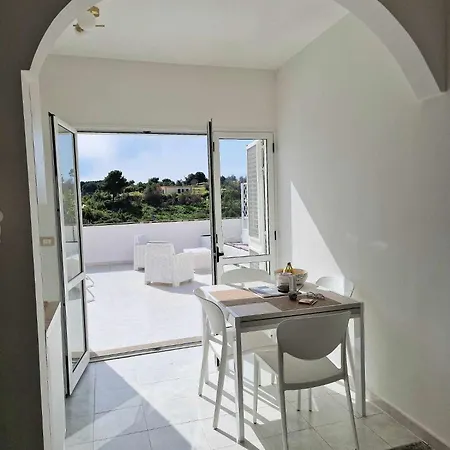 Otrantino * 奥特朗托