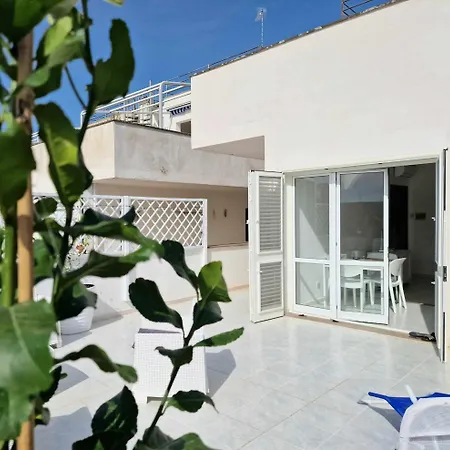 Otrantino * 奥特朗托