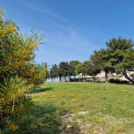 Otrantino 奥特朗托