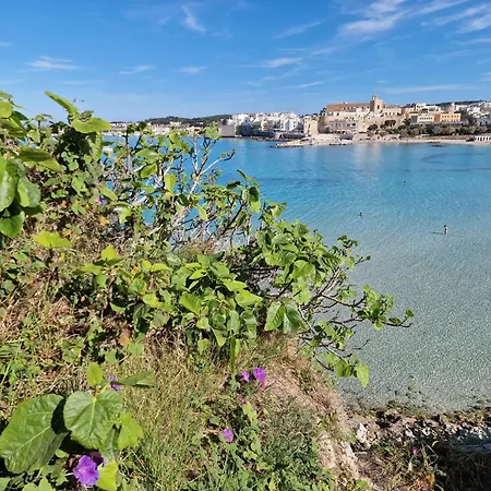 アパート Otrantino